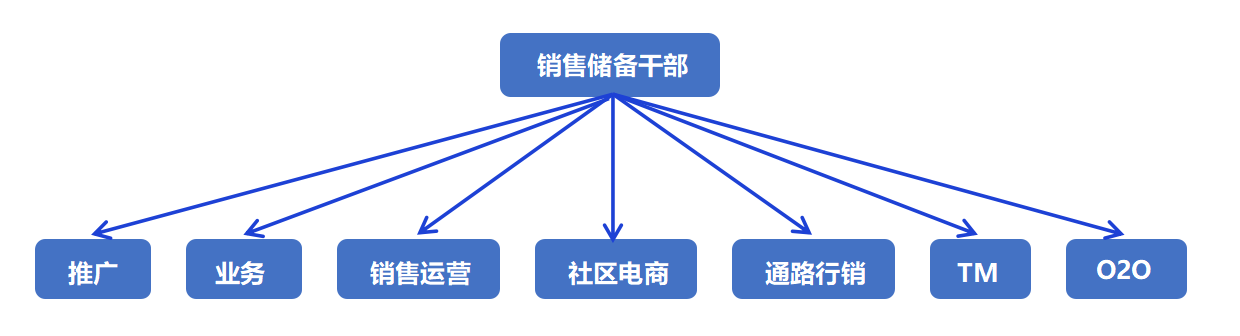 1667216714820574.png 晋升通道.png